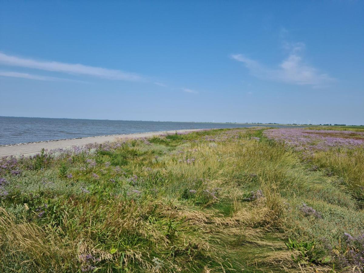 Ferienhaus Haus Meererleben - Urlaub Mit Hund An Der Nordsee Schweiburg